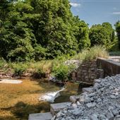 Creek Off River Bed
