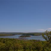 Timberline Drive Landscape