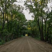 Dirt Road D0317 Rd