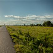 E 310 Rd/S4510 Rd (East View)
