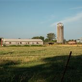 E290 Rd/West of HWY 85