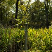 Cookson Wildlife Refuge Intersection of Pine Springs