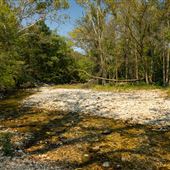 Cookson Wildlife Refuge Near Grapevine