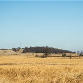 Field Across from I-40 Bridge