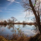 Pond on Private Property