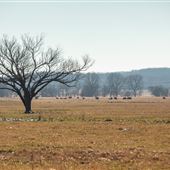 South View E 1090 Rd/S 4250 Rd