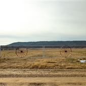 Wheel Gate E 1020 Rd