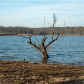 Flat Rock Creek Campground Lakefront