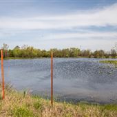 E 170 Rd North/South View
