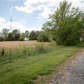 Field View 24th Ave