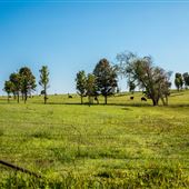 Field Views E 260 Rd