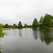 Silver Creek/Camelot Estates Neighborhood
