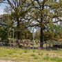 Blue Springs Cemetery