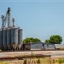 BuffingtonRd/Lloyd Cotton Sloan