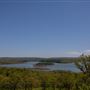 Timberline Drive Landscape