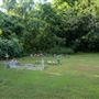 Cemetery In Bull Hollow