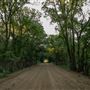 Dirt Road D0317 Rd