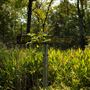 Cookson Wildlife Refuge Intersection of Pine Springs