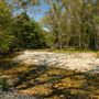 Cookson Wildlife Refuge Near Grapevine