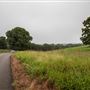Sycamore Rd/E1020 Rd
