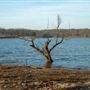 Flat Rock Creek Campground Lakefront