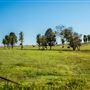 Field Views E 260 Rd