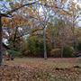 Cherokee Nation Scout Ranch