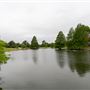 Silver Creek/Camelot Estates Neighborhood