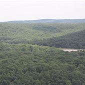 Greenleaf State Park