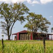 Red Barn