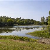 SNWR - Reeve's Slough