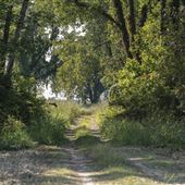 SNWR - S 4500 Rd Bend