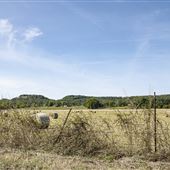 SNWR - Field West of 4520 Rd 2