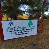 Christmas Tree Farm