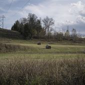 Cedar Road