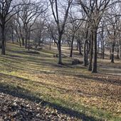 Jackson Bay Rec Area