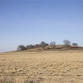 Field w Rolling Hills