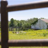 Barn & Meadow with Lake View
