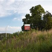 Cherokee Nation Bison Ranch