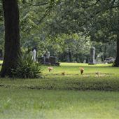 Sanders Cemetery