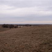 Folk Farms