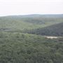 Greenleaf State Park
