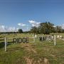 Stand Watie Grave/Confederate Graves