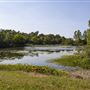 SNWR - Reeve's Slough