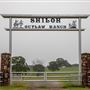 Shiloh Outlaw Ranch