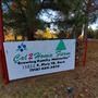 Christmas Tree Farm