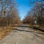 Herb Beattie Trail