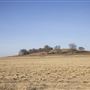 Field w Rolling Hills