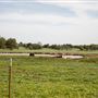 Field View North E 160 Rd