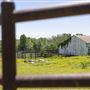 Barn & Meadow with Lake View